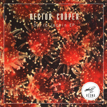 Hector Cooper - Solid Jackin