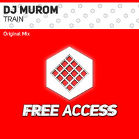 DJ Murom - Train