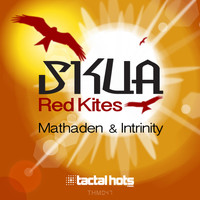 Skua - Red Kites