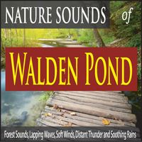 Robbins Island Music Group - Nature Sounds of Walden Pond: Forest Sounds, Lapping Waves, Soft Winds, Distant Thunder and Soothing Rains
