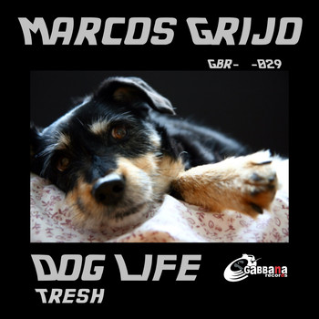 Marcos Grijo - Dog Life