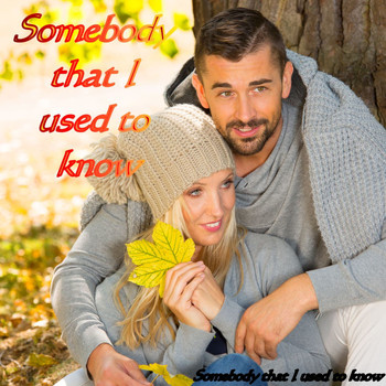 Somebody That I Used To Know - Somebody That I Used to Know