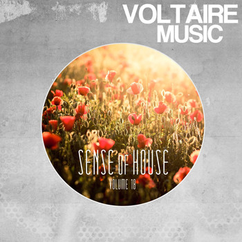 Various Artists - Sense of House, Vol. 18
