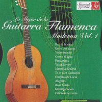 Angel Cuerdas - The Very Best of Spanish Guitar Flamenco Songs