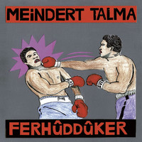 Meindert Talma - Ferhûddûker
