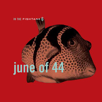June Of 44 - In The Fishtank 6