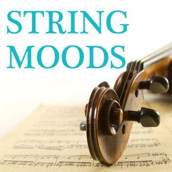 String Orchestra - String Moods