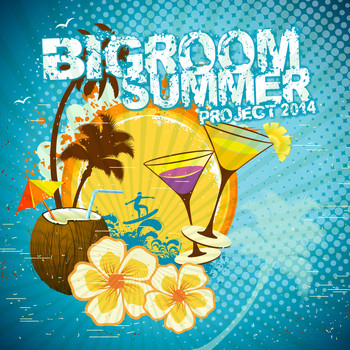 Various Artists - Bigroom Summer Project 2014 (Explicit)