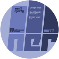 Matt Merty - One Night Wonder