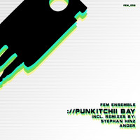 Fem Ensemble - Punkitchii Bay