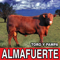 Almafuerte - Toro y Pampa