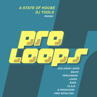 South Killah - A State of House DJ Tools