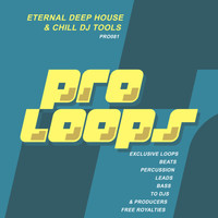 South Killah - Eternal Deep House & Chill DJ Tools