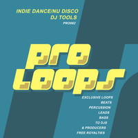 Chris Gee - Indie Dance & Nu Disco DJ Tools