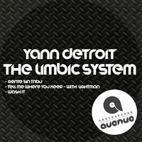 Yann Detroit - The Limbiic System