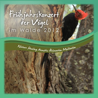 Nature Healing Acoustics Relaxation Meditation - Frühjahrskonzert Der Vögel Im Walde 2012