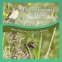 Nature Healing Acoustics Relaxation Meditation - Frühjahrskonzert Der Vögel Auf Der Weide 2012