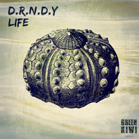 D.R.N.D.Y - Life