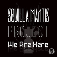 Squilla Mantis Project - We Are Here