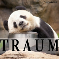 Pandabär - Traum