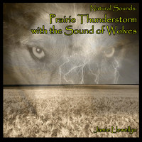 Jamie Llewellyn - Natural Sounds: Prairie Thunderstorm with the Sound of Wolves