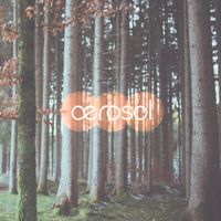 Aerosol - Aerosol