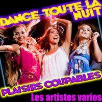 Les artistes varies - Dance Toute La Nuit - Plaisirs Coupables