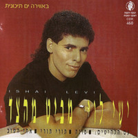ישי לוי - מביט מהצד