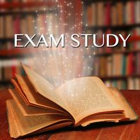 Exam Study Classical Music Orchestra - Exam Study - Classical & Piano Concentration Music for Studying, Brain Food to Increase Brain Power & Concentration With White Noise