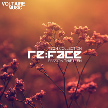 Various Artists - Re:Face Session Thirteen (Tech Collection)