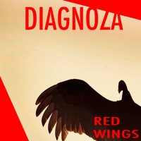 Diagnoza - Red Wings