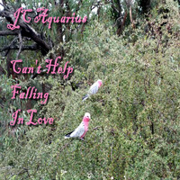Jc Aquarius - Can't Help Falling in Love