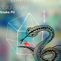 Solid Snake - Snake Pit