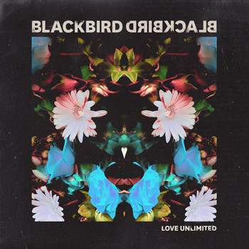 Blackbird Blackbird - Love Unlimited