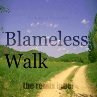 Dubacid - Blameless Walk (Bass Housemusic Mix) - Single