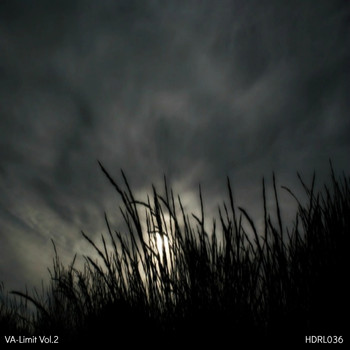 Various Artists - Limit Vol. 2