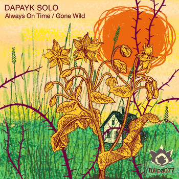 Dapayk solo - Always On Time / Gone Wild