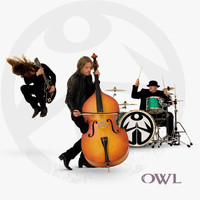 OWL - Owl