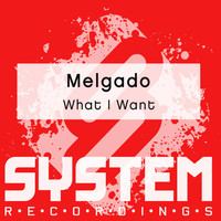 Melgado - What I Want
