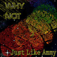 Just Like Ammy - Why Not (Explicit)