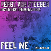 Bengt van Steegen - Feel Me