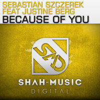 Sebastian Szczerek - Because of You