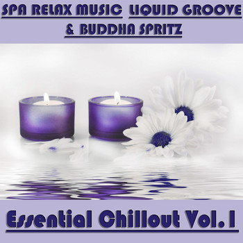 Spa Relax Music, Liquid Groove & Buddha Spritz - Essential Chillout, Vol. 1