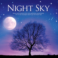 Jeff Victor - Night Sky