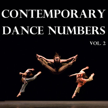 Various Artists - Contemporary Dance Numbers, Vol. 2
