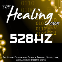 EVP - The Healing Code: 528 Hz (1 Hour Healing Frequency for Stomach, Pancreas, Spleen, Liver, Galibladder and Digestive System)