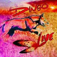 Dingo - Live