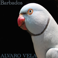 Alvaro Vela - Barbados