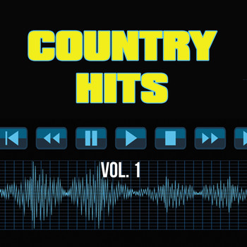 Instrumentals - Country Hits, Vol. 1 (Explicit)