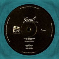 Gosub - We Are Still Searching